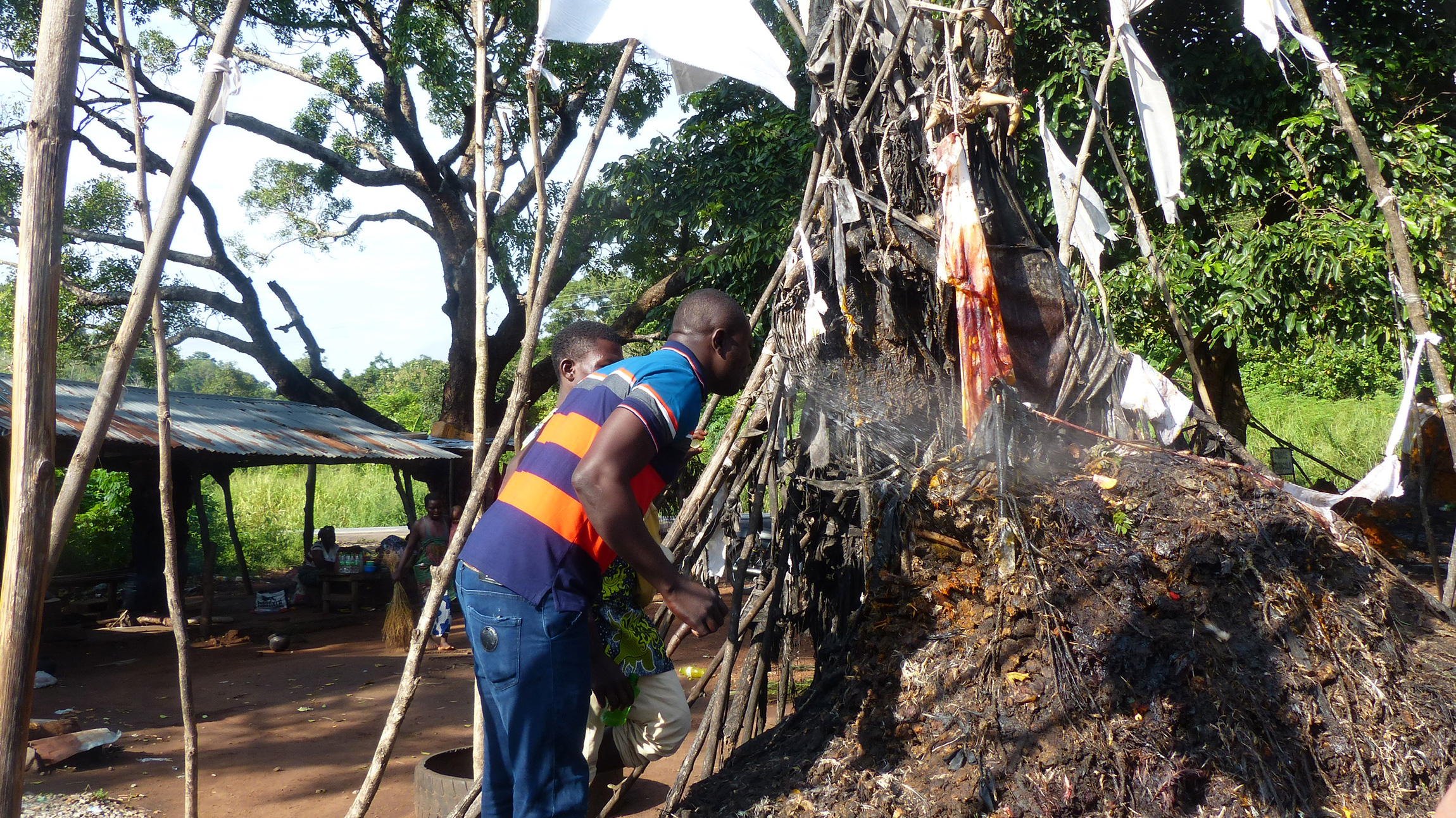 Robin driving the safari jeep. 